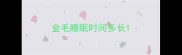 金毛睡眠时间多长