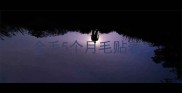 金毛5个月毛贴着