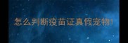 怎么判断疫苗证真假宠物