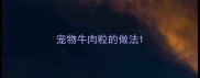宠物牛肉粒的做法
