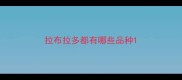 拉布拉多都有哪些品种