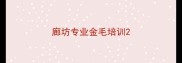 廊坊专业金毛培训