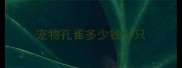 宠物孔雀多少钱一只