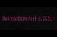 狗和宠物狗有什么区别