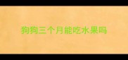 狗狗三个月能吃水果吗