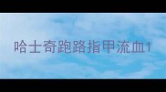 哈士奇跑路指甲流血