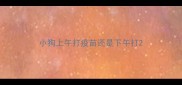 小狗上午打疫苗还是下午打