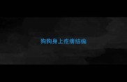 狗狗身上疙瘩结痂