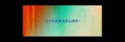 三个月的英短怎么喂养