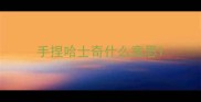 手捏哈士奇什么意思