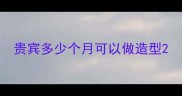 贵宾多少个月可以做造型