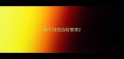 两个月的边牧智商