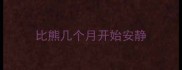 比熊几个月开始安静