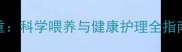 巴哥犬四个月多重科学喂养与健康护理全指南附成长阶段