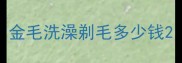 金毛洗澡剃毛多少钱