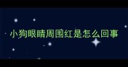 小狗眼睛周围红是怎么回事