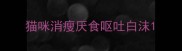 猫咪消瘦厌食呕吐白沫
