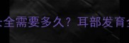 可卡犬幼犬耳朵长全需要多久耳部发育全流程及养护指南