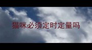 猫咪必须定时定量吗