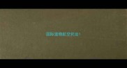 国际宠物航空托运