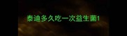 泰迪多久吃一次益生菌
