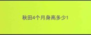 秋田4个月身高多少