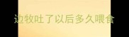 边牧吐了以后多久喂食