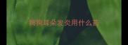 狗狗耳朵发炎用什么药