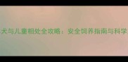 边境牧羊犬与儿童相处全攻略安全饲养指南与科学互动技巧