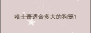 哈士奇适合多大的狗笼