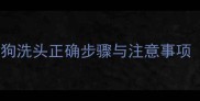 宠物洗澡全攻略狗狗洗头正确步骤与注意事项附专业护理指南