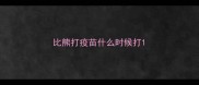 比熊打疫苗什么时候打
