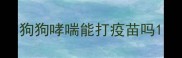狗狗哮喘能打疫苗吗