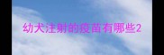 幼犬注射的疫苗有哪些