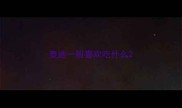 泰迪一般喜欢吃什么