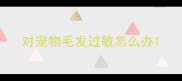 对宠物毛发过敏怎么办