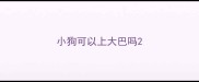 小狗可以上大巴吗