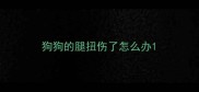 狗狗的腿扭伤了怎么办