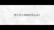 两个月小狗缺钙怎么补