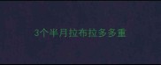 3个半月拉布拉多多重