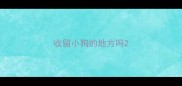 收留小狗的地方吗