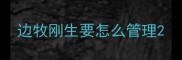 边牧刚生要怎么管理