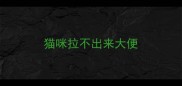 猫咪拉不出来大便