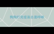 狗狗打完疫苗总是呼哧