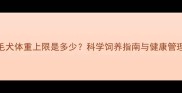 金毛犬体重上限是多少科学饲养指南与健康管理全