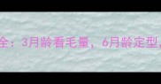 金毛幼犬毛量发育全3月龄看毛量6月龄定型成年后如何护理