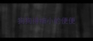 狗狗得细小的便便