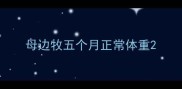 母边牧五个月正常体重
