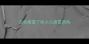 边牧感冒了吃小儿感冒药吗