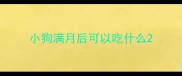 小狗满月后可以吃什么